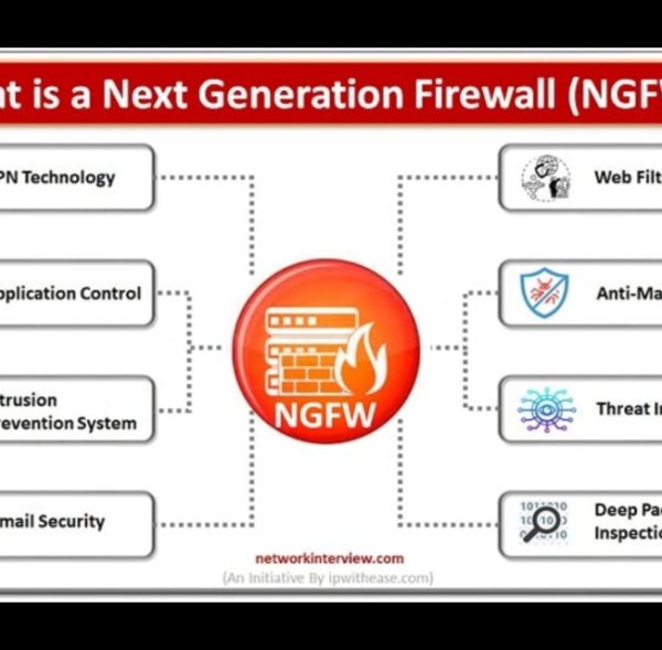 wmremove-transformed (1)