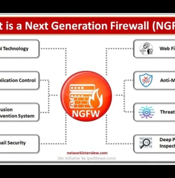 wmremove-transformed (1)